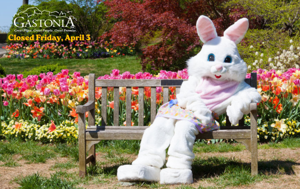 Easter Bunny 